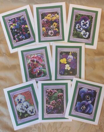Flower Series: Pansies by Deloraine Neubauer