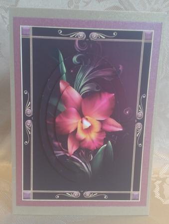 Beautiful Framed Romantic Orchid with Pyramage by Deloraine Neubauer