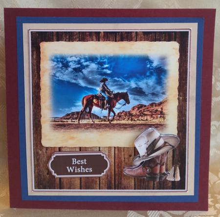 Western Cowboy by Deloraine Neubauer