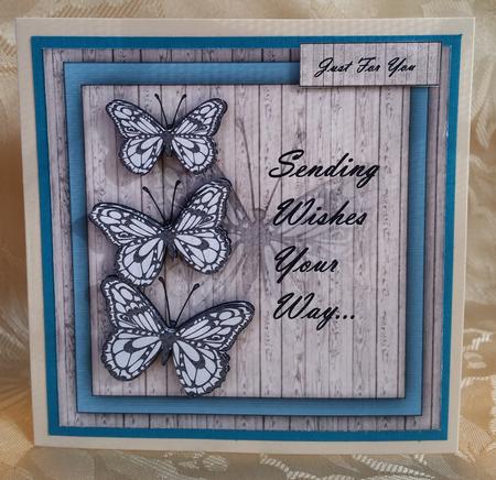 Butterfly Wishes -  by Deloraine Neubauer