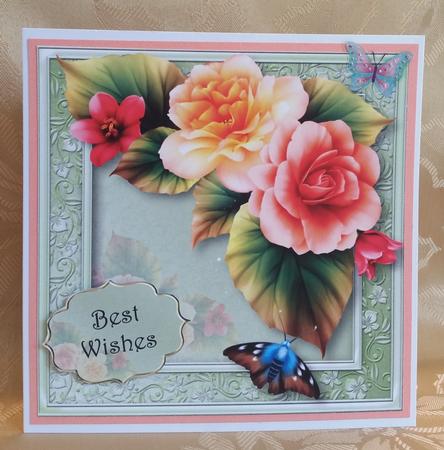 Beautiful Peach Begonias 8x8 Quick Topper by Deloraine Neubauer