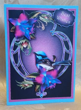 Gorgeous Orchids on a Fancy Frame A5 by Deloraine Neubauer