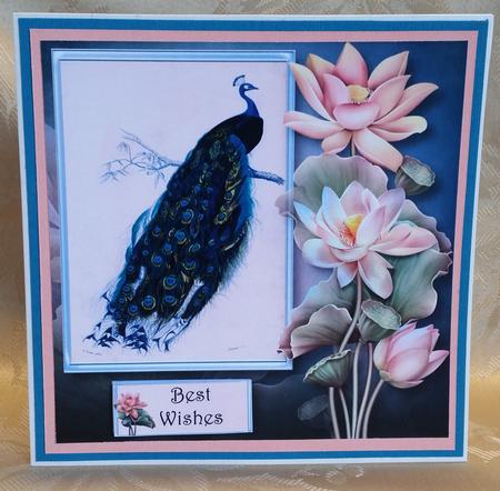 Peacock & Lotus Blooms 8x8 by Deloraine Neubauer