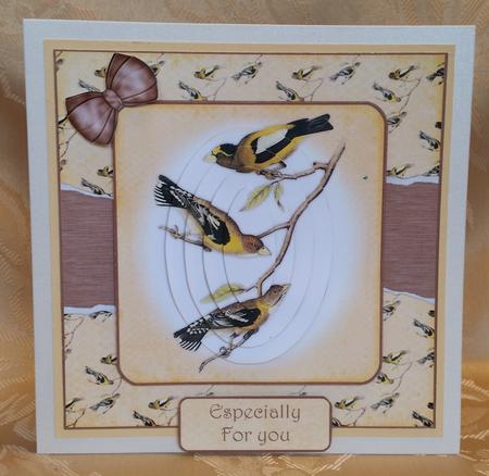 Vintage Birds 8x8 Mini Card Kit by Deloraine Neubauer
