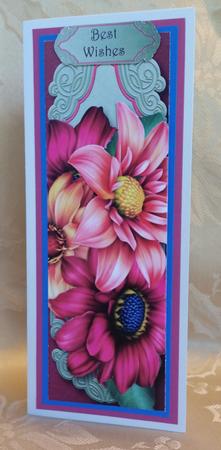Beautiful Dahlia Blooms Large Dl by Deloraine Neubauer