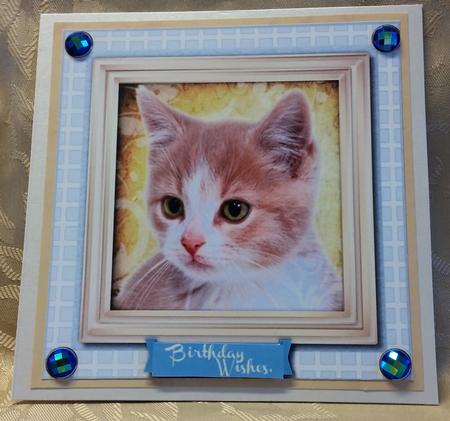 Lovely Ginger Kitty on a Blue Board  by Deloraine Neubauer