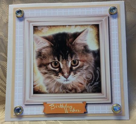 Lovely Tabby Kitty on a Beige Board  by Deloraine Neubauer