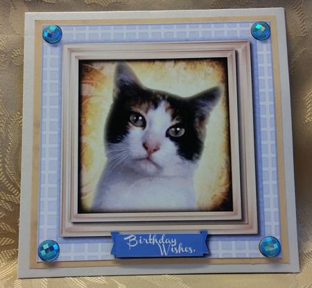 Lovely Black and White Kitty on a Lilac Board by Deloraine Neubauer