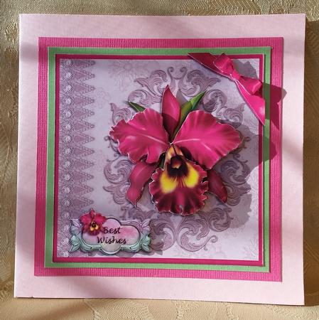 Beautiful Orchid and Embroidery by Deloraine Neubauer