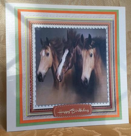 Stunning Horses in a Stitched Frame  by Deloraine Neubauer