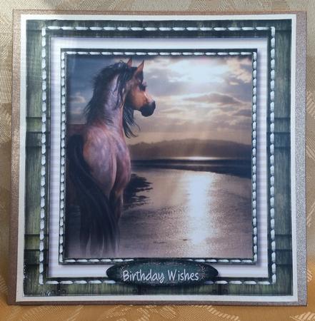 Stallion at the Watres Edge  by Deloraine Neubauer