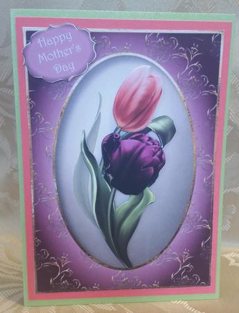 Pink & Purple Tulips by Deloraine Neubauer