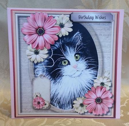 Lovely Kitty in a Oval Frame  by Deloraine Neubauer