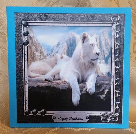 Beautiful White Tigers at Rest by Deloraine Neubauer