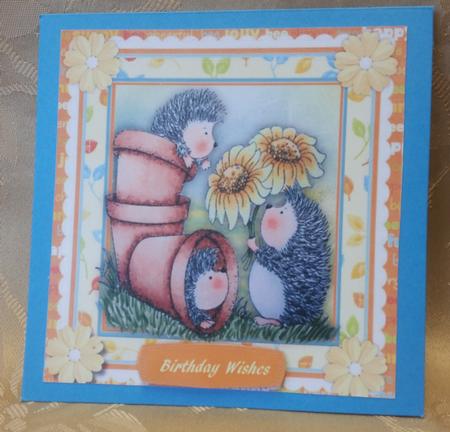 Pots of Hedgehog Love  by Deloraine Neubauer