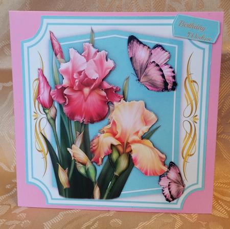 Lovely Blush Irises and Butterfly's by Deloraine Neubauer