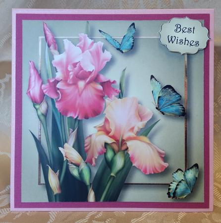 Blush Iris & Butterflies 8x8 Quick Topper by Deloraine Neubauer
