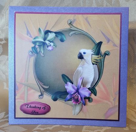 Tropical Bird by Deloraine Neubauer