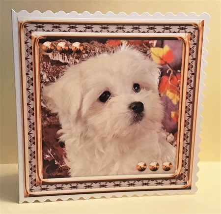 JJ LOVE MY DOG MALTESE 8X8 by Deloris Thiede