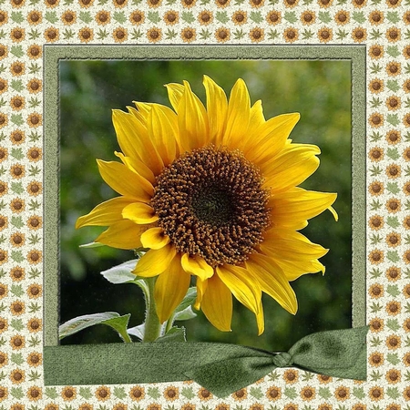 Fall Basics 1 Papers by Deloris Thiede