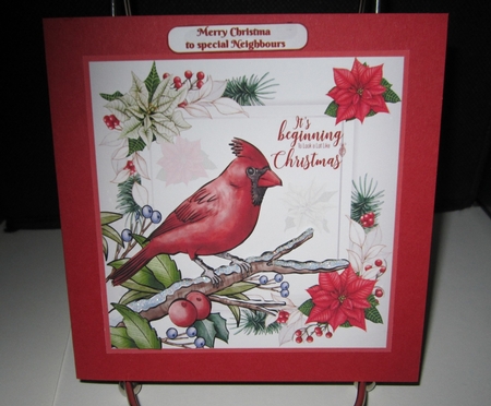 The Cardinal by Denise Lada