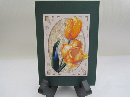 Flower Stem Bumper Kit A by Denise Lada