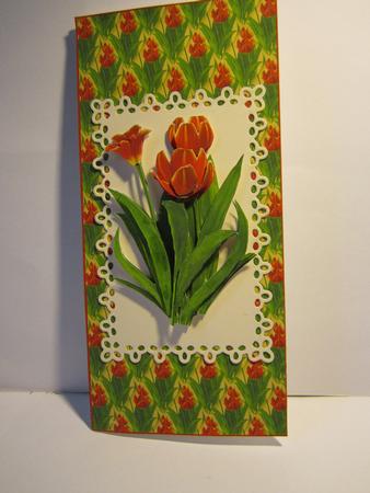 Tulips Part 1 by Denise Lada