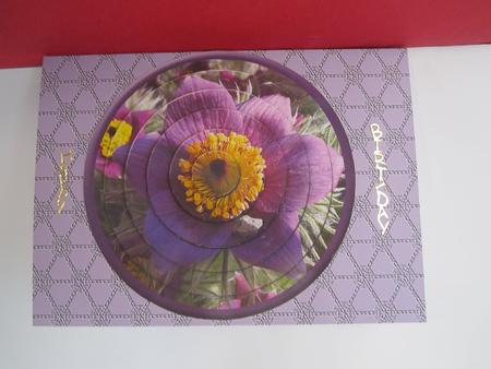 Circular Easy-position Pyramid - Purple Flower by Denise Lada