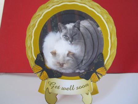 Plate Cat 3 by Denise Lada