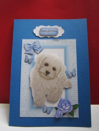 Beautiful Fluffy White Puppy by Denise Lada