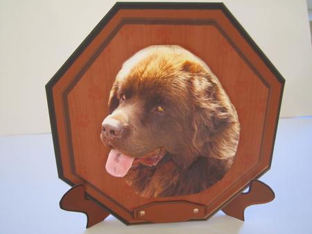 Newfoundland,brown,plaque & Stand by Denise Lada