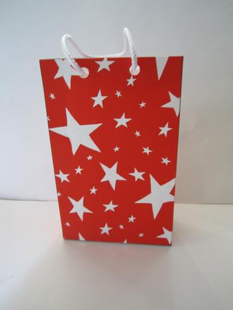 Christmas Gift Bag by Denise Lada