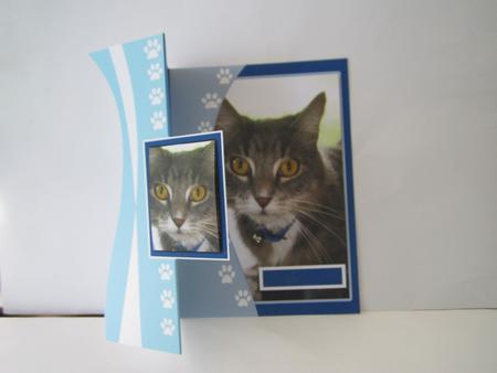 Its a Cats Life by Denise Lada