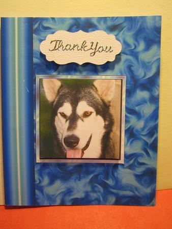 Beautiful Dog by Denise Lada
