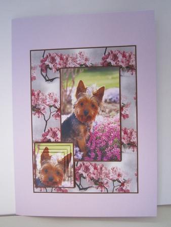 Its a Yorkie Thing by Denise Lada