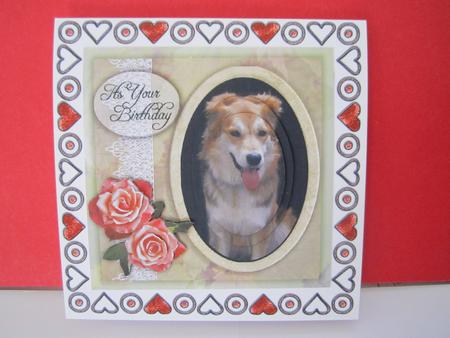 Shetland Sheepdog by Denise Lada