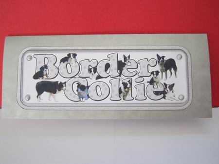 Border Collie Name Sign by Denise Lada