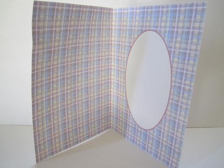 Rich Christmas Tartan Insert by Denise Lada