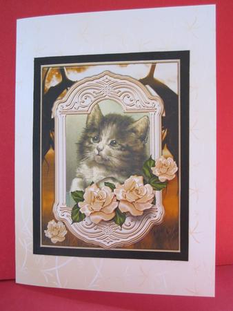 Sympathy for a Cat by Denise Lada