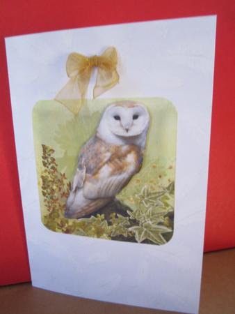 Barnowl Step by Step by Denise Lada