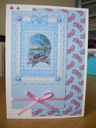 Bluebird, Blossom 'n Lace A4 Card Front by Denise MacLachlan