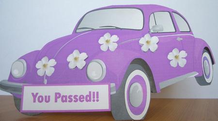 Hippie Herbie You Passed by Denise MacLachlan
