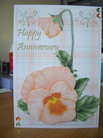 Apricot Pansy Anniversary by Denise MacLachlan