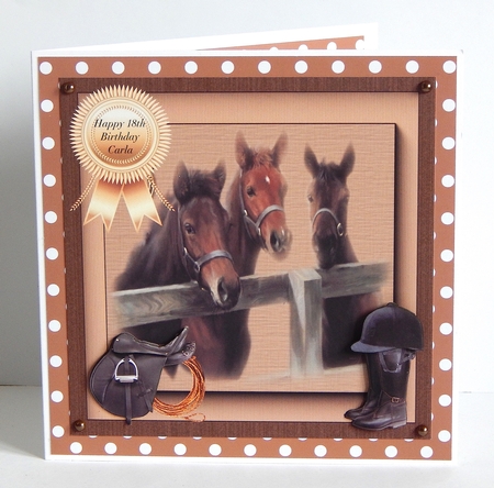 8x8 Lets Go Horse Riding by Denise Murray