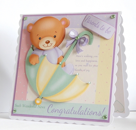 A Beary Special Pregnancy, Mini Kit by Denise Murray