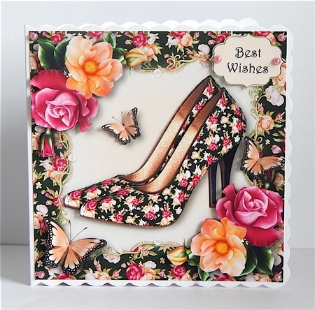 The Rose Shoes by Denise Murray