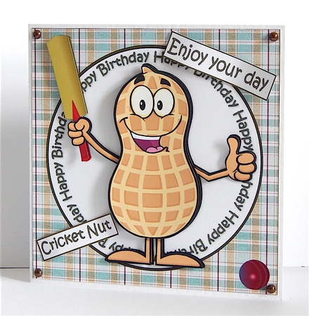 Cricket nut birthday by Denise Murray