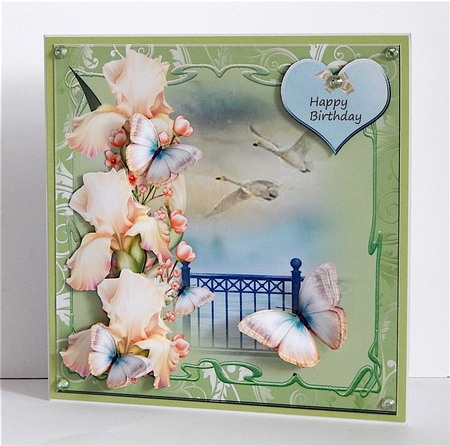 Iris and butterflies by Denise Murray