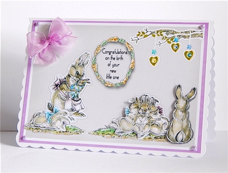 New baby bunny by Denise Murray