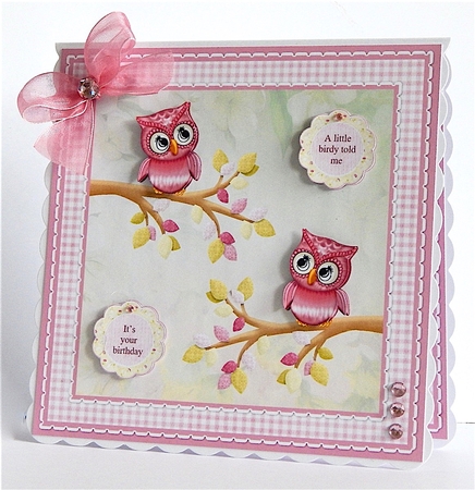 Sweet owls - hope your birthday is a hoot - card mini kit & decoupage by Denise Murray